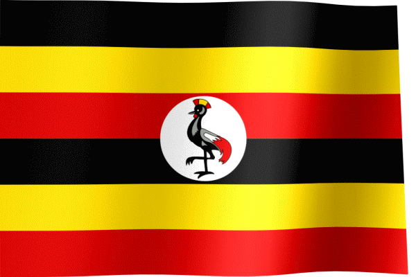 election image