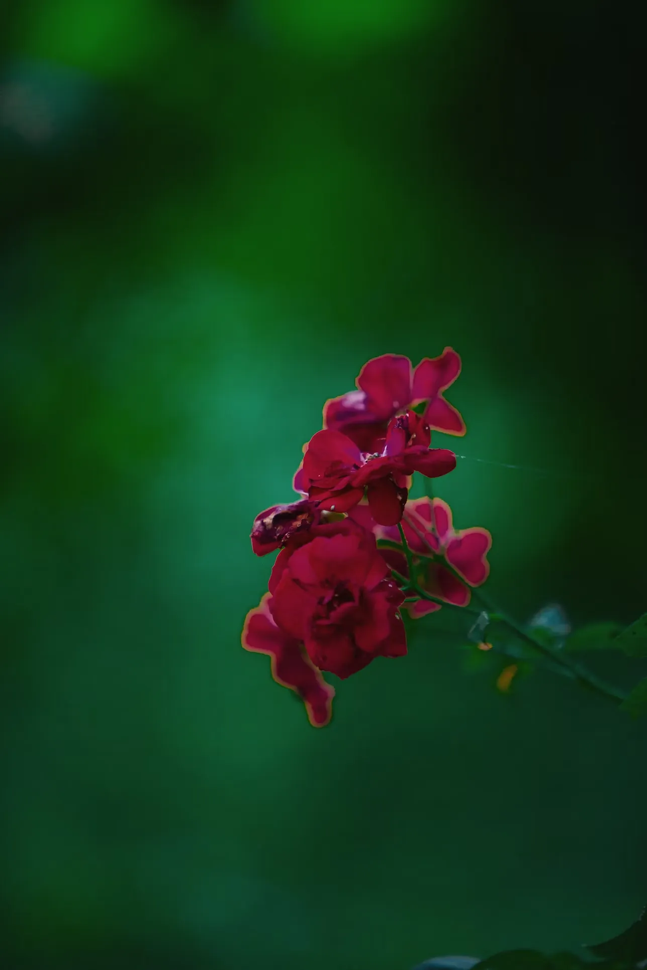 secondary page backgound image