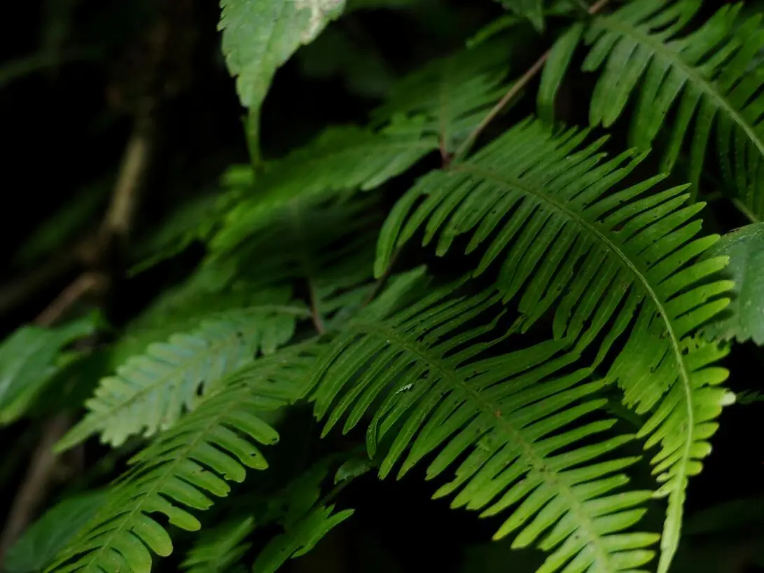 secondary page backgound image